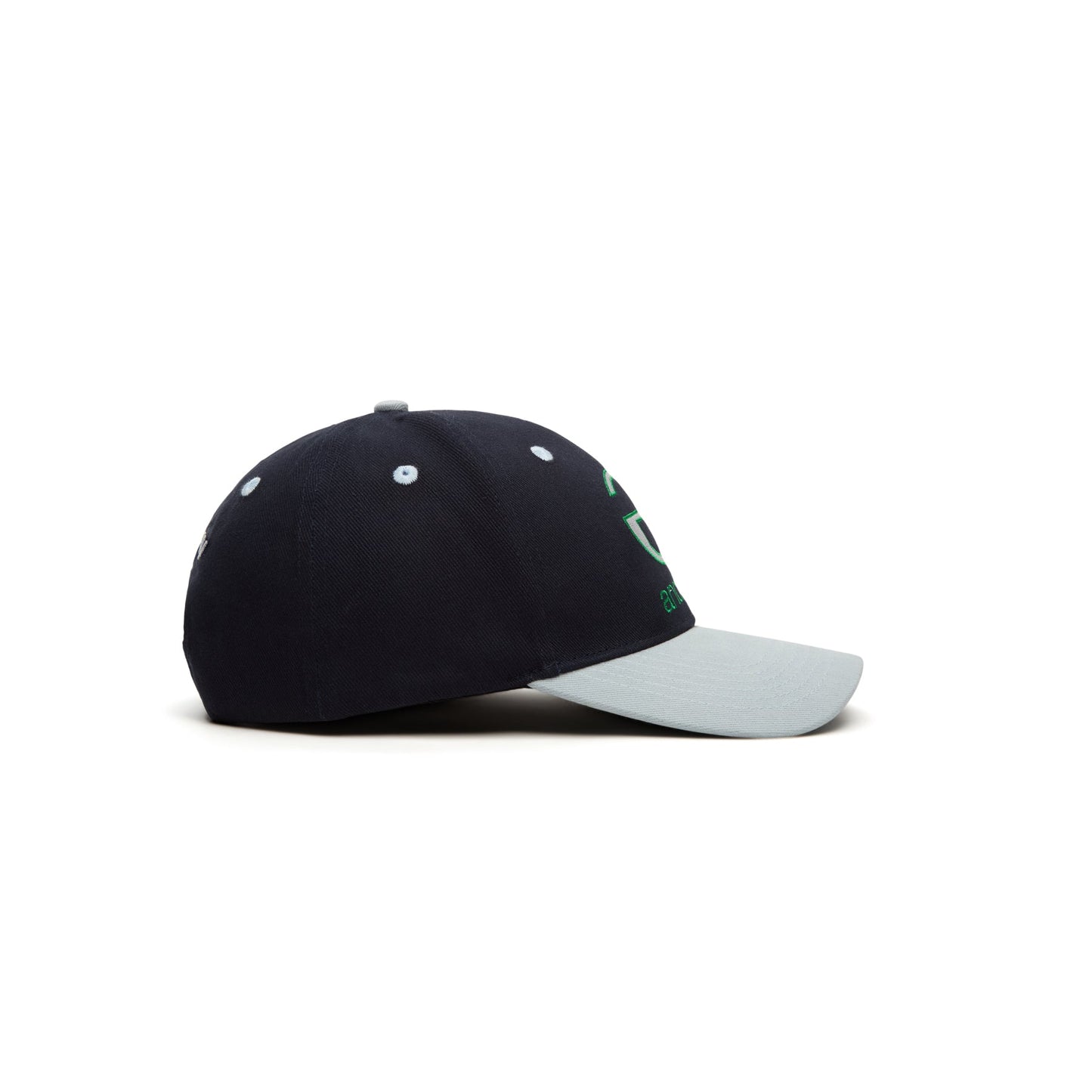 Andrew Lowercase 6 Panel Dad Hat (Blue)