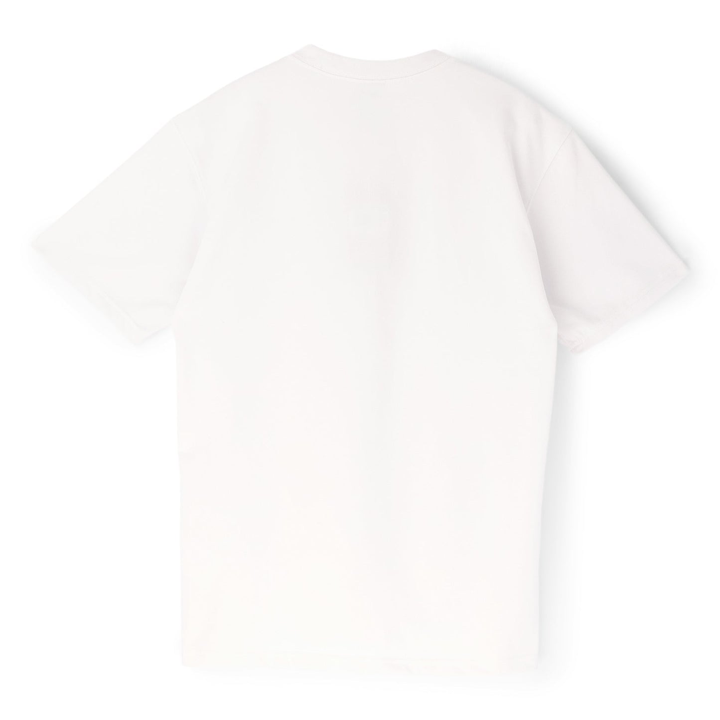 Nike ACG Short-Sleeve T-Shirt (Summit White)
